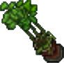 Arquivo:Exotic Plant.png