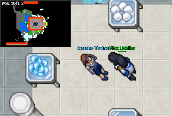 NPC Seavell Icelake Trainer.png