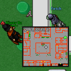 Fetch Goldenrod.png