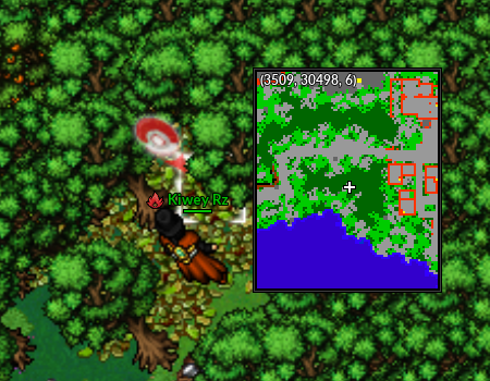 Localização Forest of Illusion.png