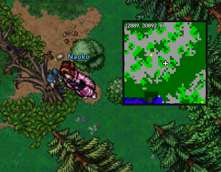 Localização Naoko3.png