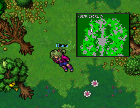 Localização Diana TT.png