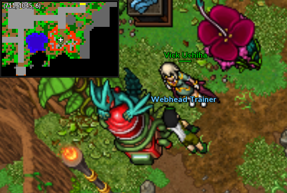 NPC Naturia Webhead Trainer.png