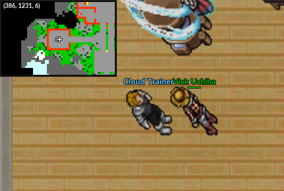 NPC Wingeon Cloud Trainer.png