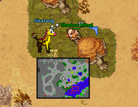 Girafa3-Safari Crisis.png