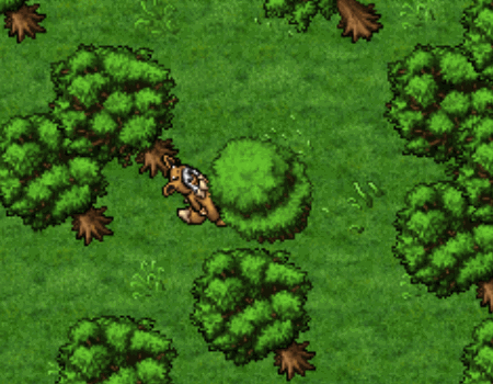 Matão (Professor)1.gif