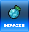 Berries banner.png