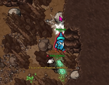 Donphan Minigame Echoes of MT Silver.gif