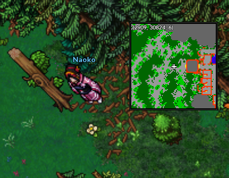 Localização Naoko4.png