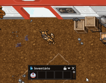 NW Compass.gif