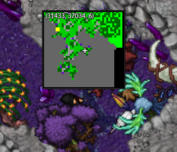 Seringa the game minimap.png