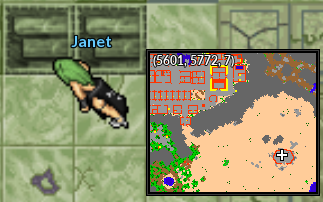 Locnpcjanet.png