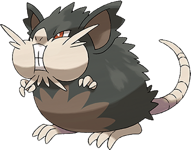 Dex-Alolan Raticate.png