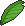 Palm Leaves.png