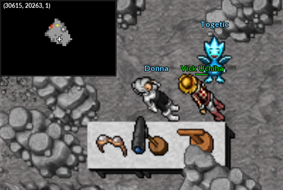 NPC NW Donna Wingeon.png