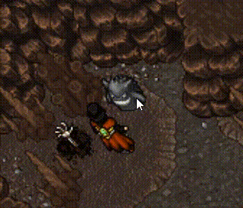 Estatua errada gif .gif