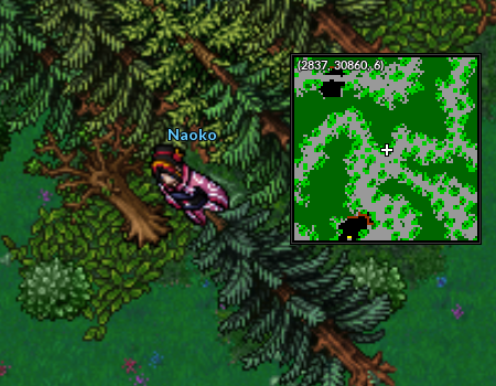 Localização Naoko2.png
