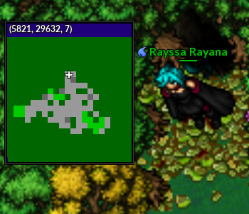 LocalInt2.png