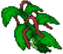 Green Plant 2.png
