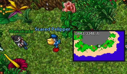 Scared Pelipper