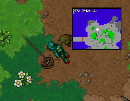 Corda Kurt Slowpoke Well.png