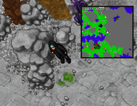 NPC Alquimista Dried Diving Spot.png