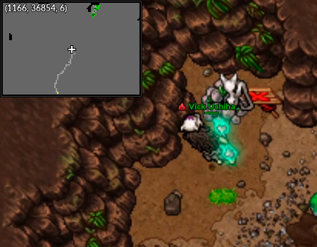 Heracross Cave Echoes of MT Silver.png