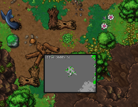 EntradaHeracross Cave Echoes of MT Silver.png