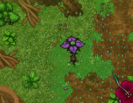 Trap de Dano 2 Photography Challenge.gif