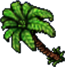 Arquivo:Coconut palm.png