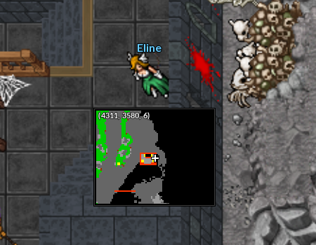 Localização Eline.png