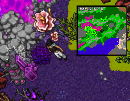 NPC Alquimista Cerulean Swamp.png