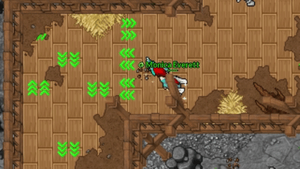 Placas Direcionais Ginásio Violet.gif