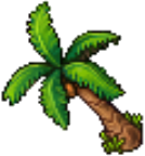 Coconut Palm2.png