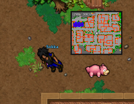 Localização Sokka Slowpoke Well.png