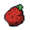 Red Sitrus berry.png