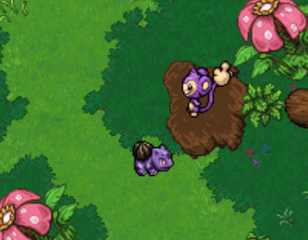 DG 15 Anos - Aipom.gif