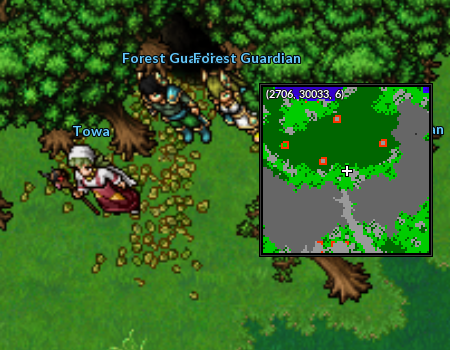 Localização NPC Towa Floresta TT.png