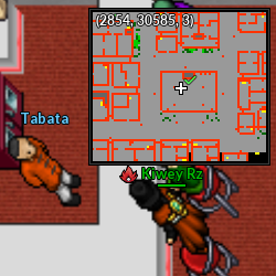 Tabata Goldenrod.png