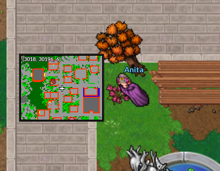 Localização Anita.png