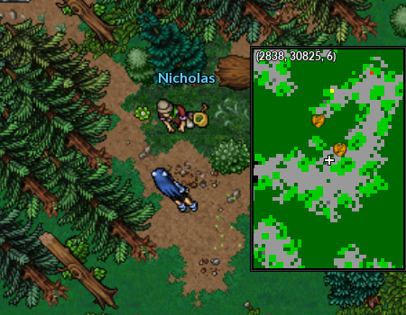 Puzzle Illex Npc Nicholas.png