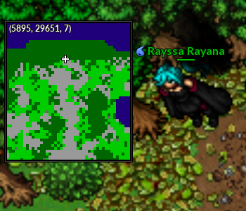 LocalInt1.png