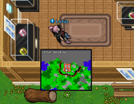 Localização NPC Lotus.png