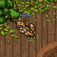 Hurley Battle Tree House.png