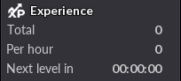 Experiência Analyzer-EN.png