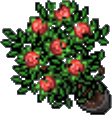 Arquivo:Red Flower Pot.png