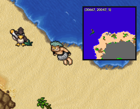 NPC Alquimista Hurricane Island.png