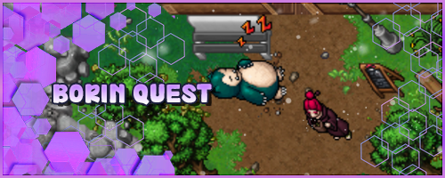 Banner Borin Quest.png