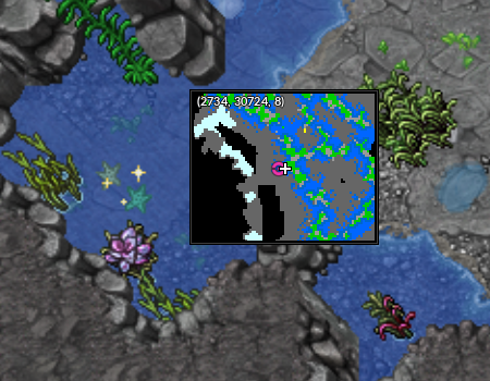 Turquoise Starfish.png