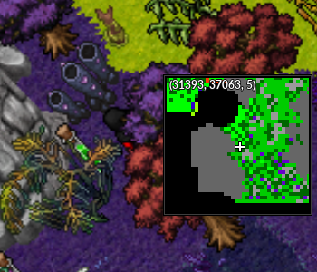 Antidoto the game minimap.png